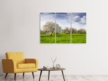 Laden Sie das Bild in den Galerie-Viewer, Leinwandbild 3-teilig Apfelbaum-Garten
