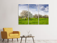 Laden Sie das Bild in den Galerie-Viewer, Leinwandbild 3-teilig Apfelbaum-Garten