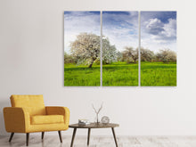 Laden Sie das Bild in den Galerie-Viewer, Leinwandbild 3-teilig Apfelbaum-Garten