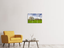 Laden Sie das Bild in den Galerie-Viewer, Leinwandbild 3-teilig Apfelbaum-Garten