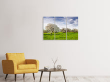 Laden Sie das Bild in den Galerie-Viewer, Leinwandbild 3-teilig Apfelbaum-Garten