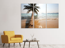Laden Sie das Bild in den Galerie-Viewer, Leinwandbild 3-teilig Palme