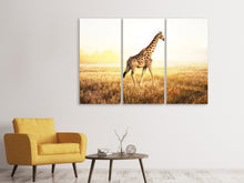 Laden Sie das Bild in den Galerie-Viewer, Leinwandbild 3-teilig Die Giraffe