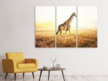 Laden Sie das Bild in den Galerie-Viewer, Leinwandbild 3-teilig Die Giraffe