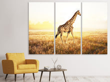 Laden Sie das Bild in den Galerie-Viewer, Leinwandbild 3-teilig Die Giraffe