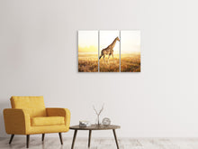 Laden Sie das Bild in den Galerie-Viewer, Leinwandbild 3-teilig Die Giraffe