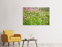 Laden Sie das Bild in den Galerie-Viewer, Leinwandbild 3-teilig Der Wiesenklee