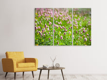 Laden Sie das Bild in den Galerie-Viewer, Leinwandbild 3-teilig Der Wiesenklee