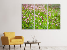 Laden Sie das Bild in den Galerie-Viewer, Leinwandbild 3-teilig Der Wiesenklee