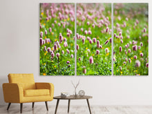 Laden Sie das Bild in den Galerie-Viewer, Leinwandbild 3-teilig Der Wiesenklee