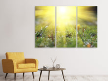 Laden Sie das Bild in den Galerie-Viewer, Leinwandbild 3-teilig Blumige Wiese