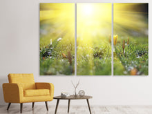 Laden Sie das Bild in den Galerie-Viewer, Leinwandbild 3-teilig Blumige Wiese