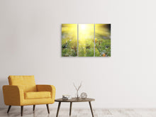 Laden Sie das Bild in den Galerie-Viewer, Leinwandbild 3-teilig Blumige Wiese