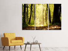 Laden Sie das Bild in den Galerie-Viewer, Leinwandbild 3-teilig Sonnenaufgang im Wald