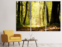 Laden Sie das Bild in den Galerie-Viewer, Leinwandbild 3-teilig Sonnenaufgang im Wald