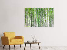 Laden Sie das Bild in den Galerie-Viewer, Leinwandbild 3-teilig Der Birkenwald