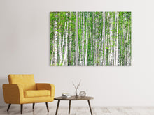 Laden Sie das Bild in den Galerie-Viewer, Leinwandbild 3-teilig Der Birkenwald