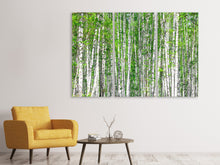 Laden Sie das Bild in den Galerie-Viewer, Leinwandbild 3-teilig Der Birkenwald