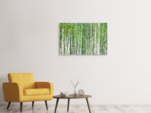 Laden Sie das Bild in den Galerie-Viewer, Leinwandbild 3-teilig Der Birkenwald