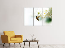 Laden Sie das Bild in den Galerie-Viewer, Leinwandbild 3-teilig Die Hummel und die Blüte