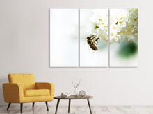 Laden Sie das Bild in den Galerie-Viewer, Leinwandbild 3-teilig Die Hummel und die Blüte