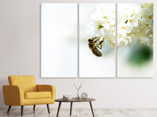 Laden Sie das Bild in den Galerie-Viewer, Leinwandbild 3-teilig Die Hummel und die Blüte