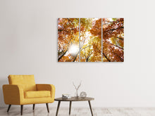 Laden Sie das Bild in den Galerie-Viewer, Leinwandbild 3-teilig Herbstbäume