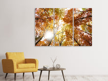 Laden Sie das Bild in den Galerie-Viewer, Leinwandbild 3-teilig Herbstbäume