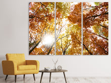 Laden Sie das Bild in den Galerie-Viewer, Leinwandbild 3-teilig Herbstbäume
