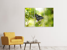 Laden Sie das Bild in den Galerie-Viewer, Leinwandbild 3-teilig Papilio Schmetterling XXL