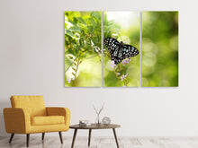 Laden Sie das Bild in den Galerie-Viewer, Leinwandbild 3-teilig Papilio Schmetterling XXL