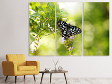 Laden Sie das Bild in den Galerie-Viewer, Leinwandbild 3-teilig Papilio Schmetterling XXL