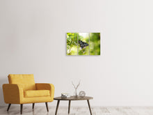 Laden Sie das Bild in den Galerie-Viewer, Leinwandbild 3-teilig Papilio Schmetterling XXL