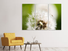 Laden Sie das Bild in den Galerie-Viewer, Leinwandbild 3-teilig Pusteblume Löwenzahn