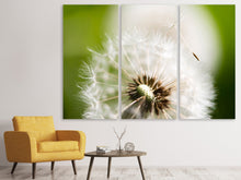 Laden Sie das Bild in den Galerie-Viewer, Leinwandbild 3-teilig Pusteblume Löwenzahn