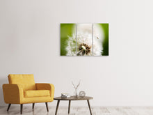 Laden Sie das Bild in den Galerie-Viewer, Leinwandbild 3-teilig Pusteblume Löwenzahn