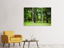 Laden Sie das Bild in den Galerie-Viewer, Leinwandbild 3-teilig Kirschbaum-Garten