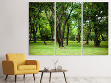 Laden Sie das Bild in den Galerie-Viewer, Leinwandbild 3-teilig Kirschbaum-Garten