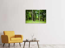 Laden Sie das Bild in den Galerie-Viewer, Leinwandbild 3-teilig Kirschbaum-Garten