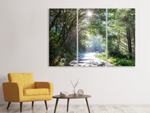 Laden Sie das Bild in den Galerie-Viewer, Leinwandbild 3-teilig Sonniger Waldweg