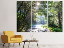 Laden Sie das Bild in den Galerie-Viewer, Leinwandbild 3-teilig Sonniger Waldweg