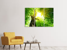 Laden Sie das Bild in den Galerie-Viewer, Leinwandbild 3-teilig Baum