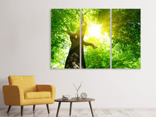 Laden Sie das Bild in den Galerie-Viewer, Leinwandbild 3-teilig Baum