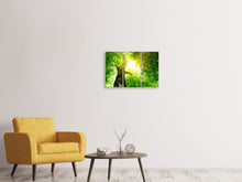 Laden Sie das Bild in den Galerie-Viewer, Leinwandbild 3-teilig Baum