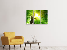 Laden Sie das Bild in den Galerie-Viewer, Leinwandbild 3-teilig Baum