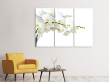 Laden Sie das Bild in den Galerie-Viewer, Leinwandbild 3-teilig Weisse Orchideen