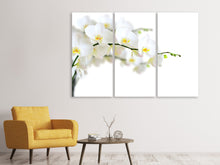 Laden Sie das Bild in den Galerie-Viewer, Leinwandbild 3-teilig Weisse Orchideen