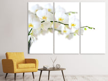 Laden Sie das Bild in den Galerie-Viewer, Leinwandbild 3-teilig Weisse Orchideen