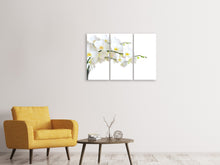 Laden Sie das Bild in den Galerie-Viewer, Leinwandbild 3-teilig Weisse Orchideen