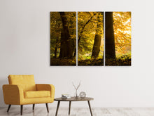 Laden Sie das Bild in den Galerie-Viewer, Leinwandbild 3-teilig Herbstlaub